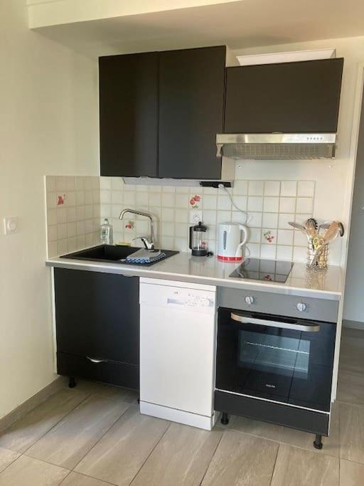 Appartement Domaine De La Gaillarde Les Issambres 45M² روكبرون-سور-أرجينس المظهر الخارجي الصورة